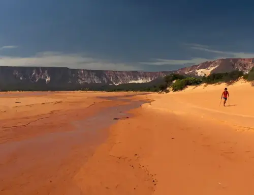 Jalapão Ultramarathon – ”Where the wild begins”